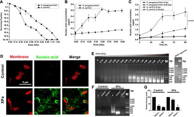 Proteomic Analysis of Vesicle-Producing Pseudomonas aeruginosa PAO1 Exposed to X-Ray Irradiation